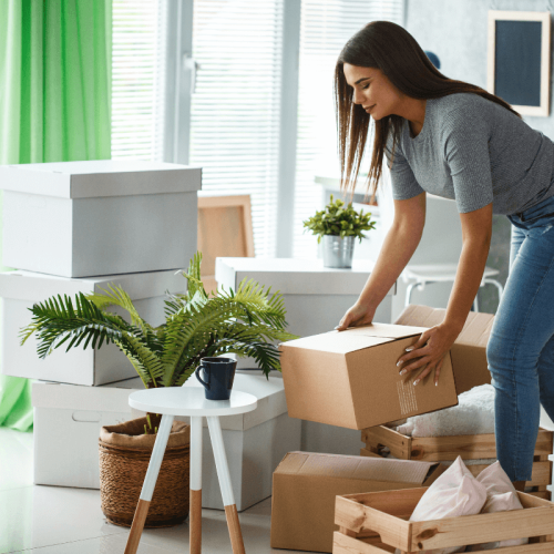 Organização Minimalista: Como Manter sua Casa Livre de Clutter